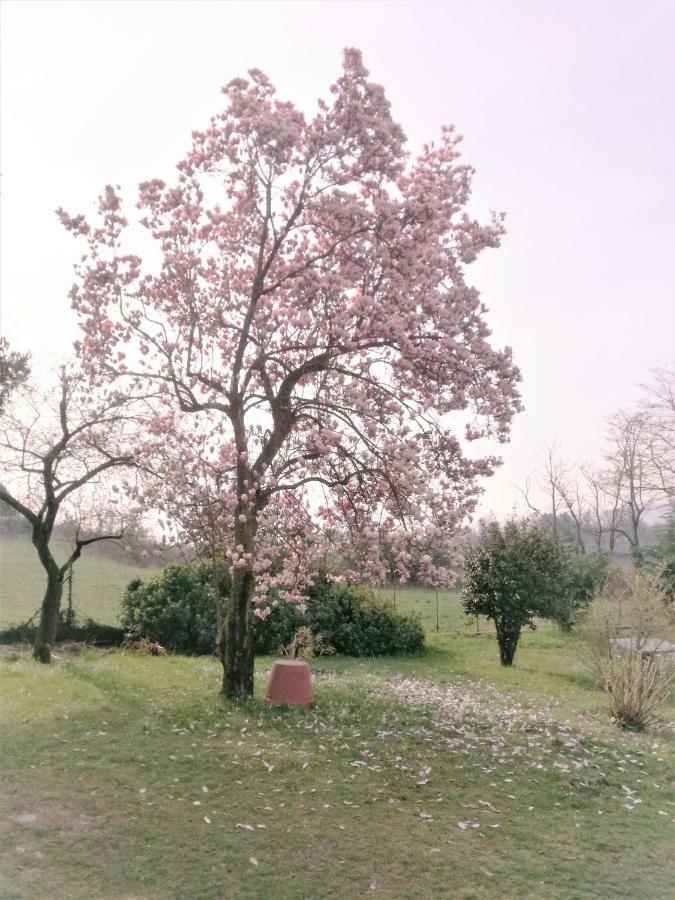 Villa Antaldo Nebbiuno Esterno foto