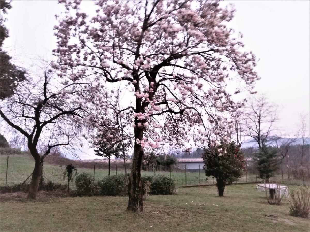 Villa Antaldo Nebbiuno Esterno foto