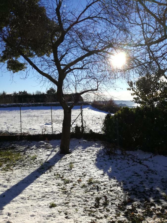 Villa Antaldo Nebbiuno Esterno foto